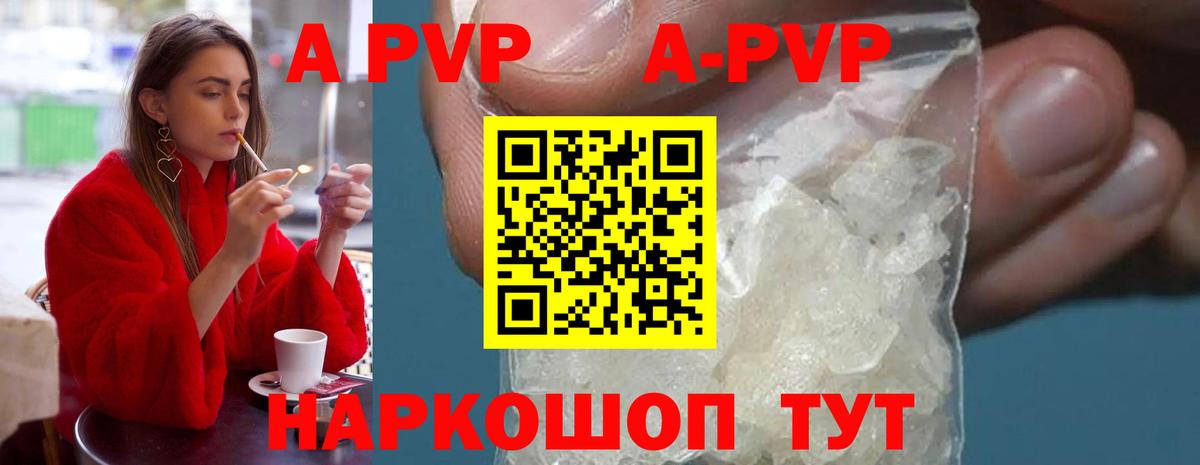 Alfa_PVP СК КРИС  Вход с VPN  APVP СК  Альфа ПВП  Бердск  Альфа ПВП Соль 