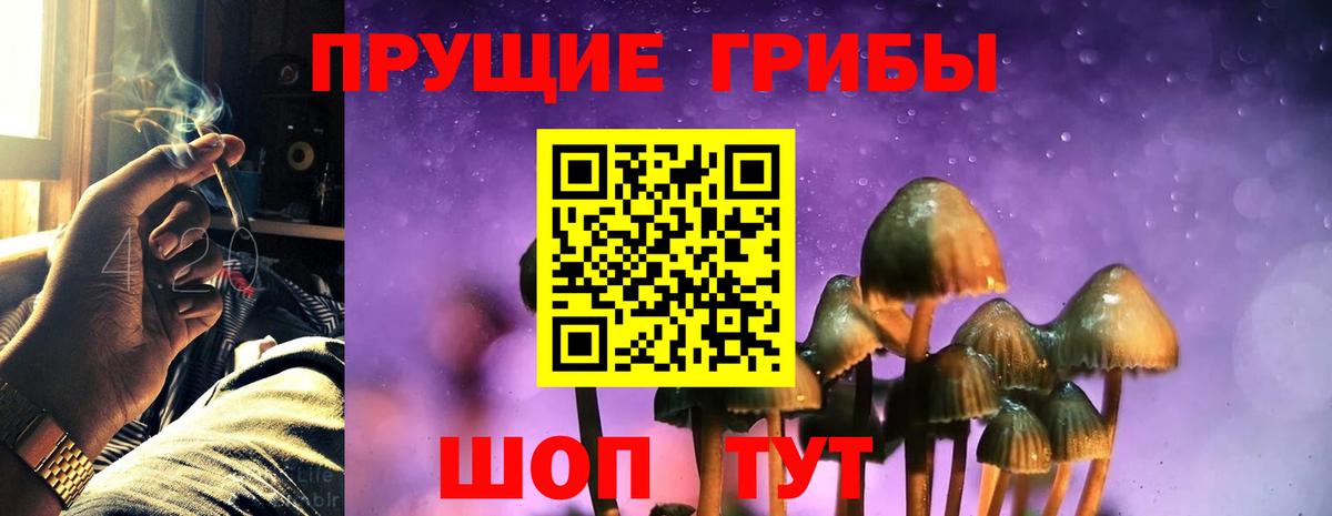 Псилоцибиновые грибы мухоморы Бердск